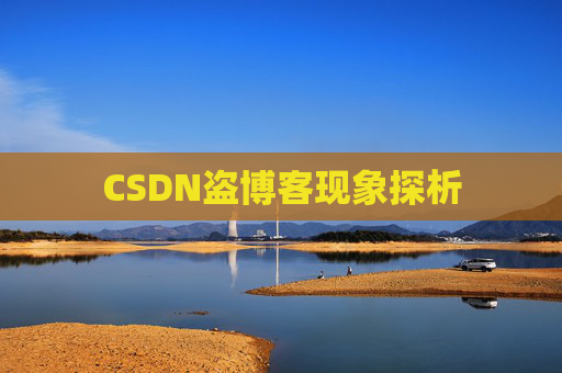CSDN盗博客现象探析